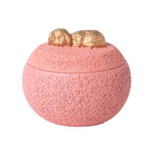 Pet Funeral Urn Aftercare Memorial Box For Cats And Dogs